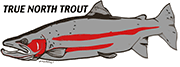 True North Trout